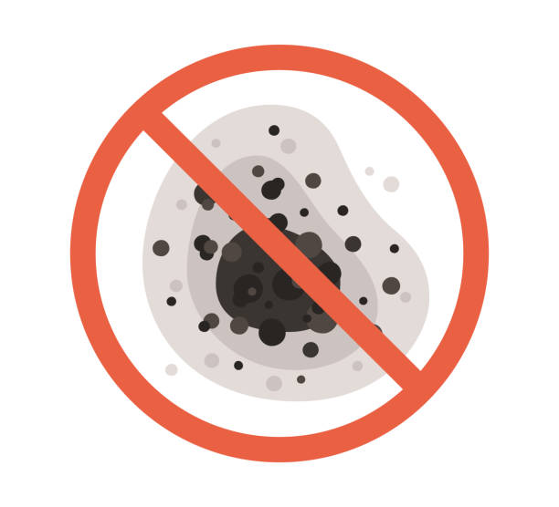 Best Commercial Mold Inspection  in West Jefferson, NC