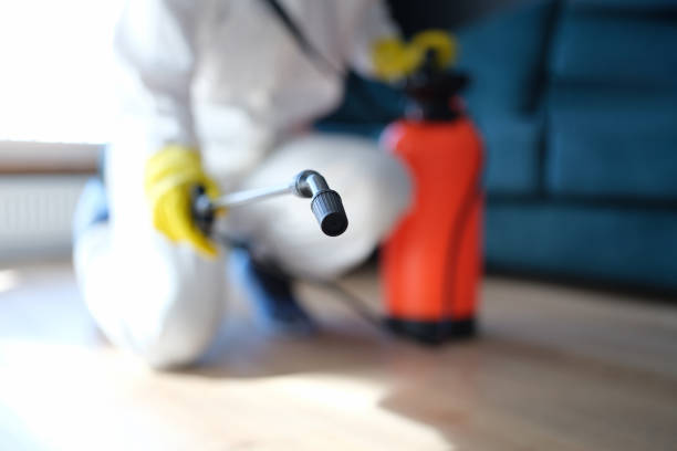 Best Asbestos and Lead Testing During Mold Inspection  in West Jefferson, NC