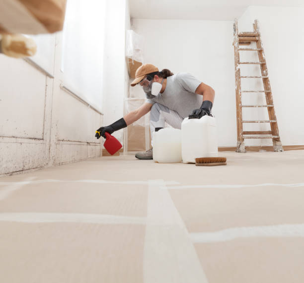 Best Crawl Space Mold Remediation  in West Jefferson, NC