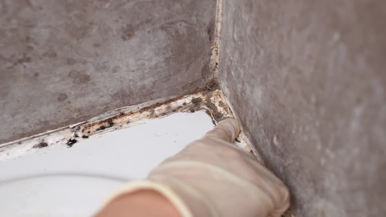 Best Post-Remediation Verification Testing  in West Jefferson, NC